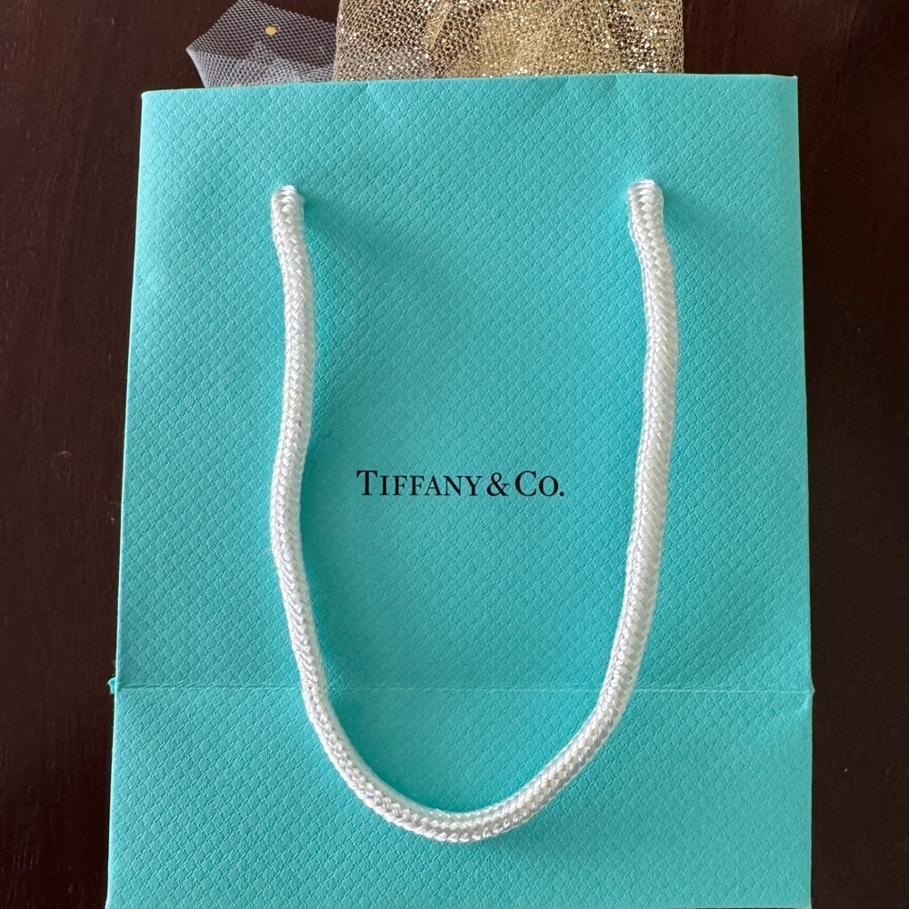 Tiffany 16inch 2 Heart necklace